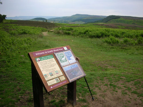 Scarth Wood Moor