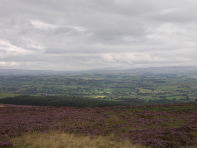 View from Pinhaw Beacon