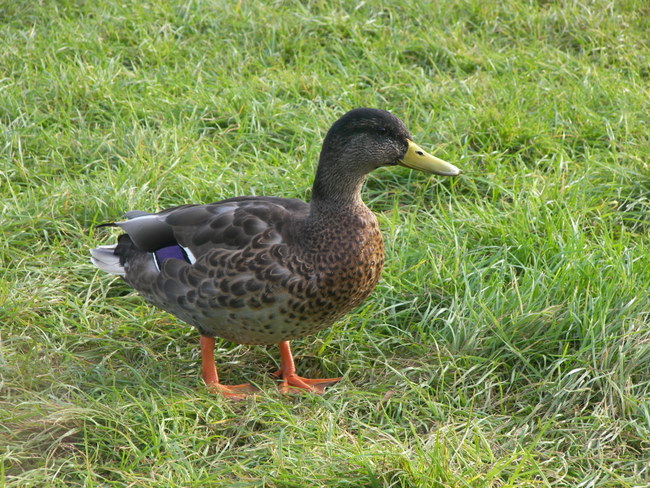 Eee, you two look reet knackered!”
